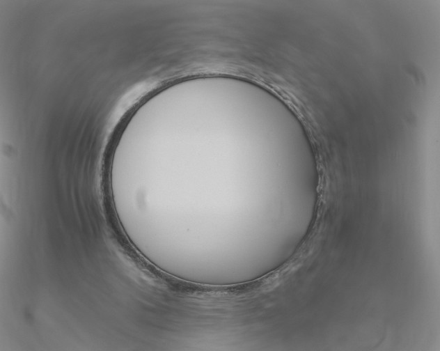 X0000090960104200708021130