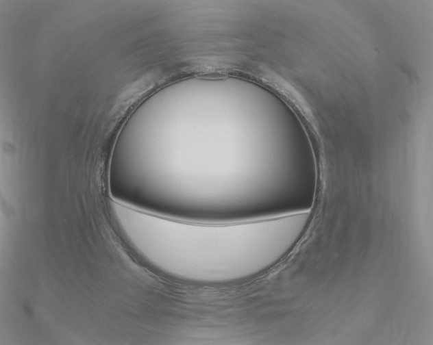 X0000090960105200708021130