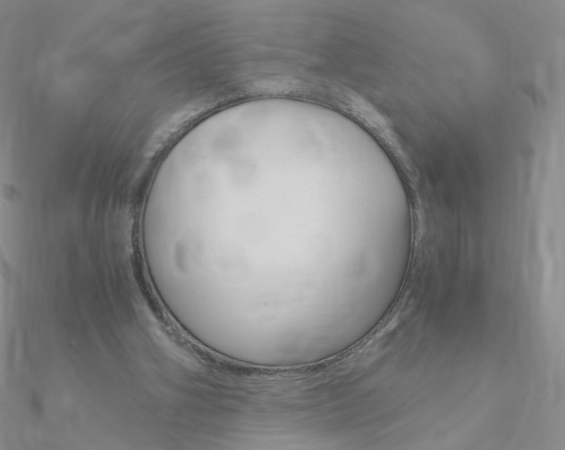 X0000090960106200708021129