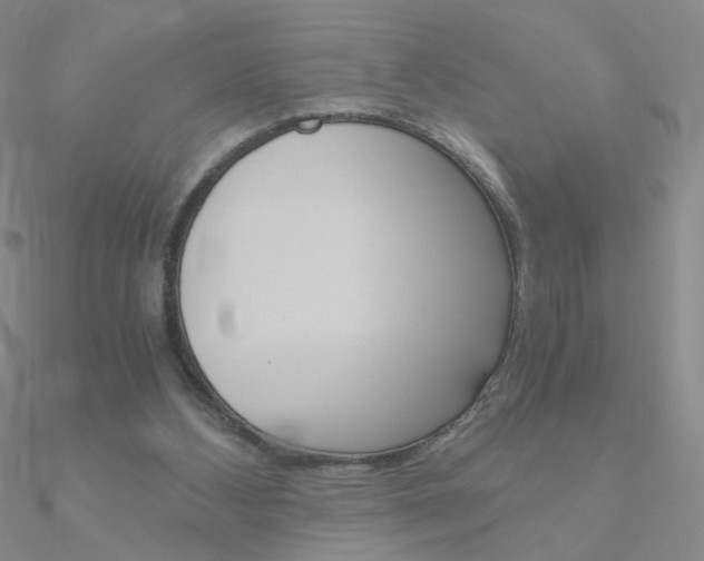 X0000090960108200708021129