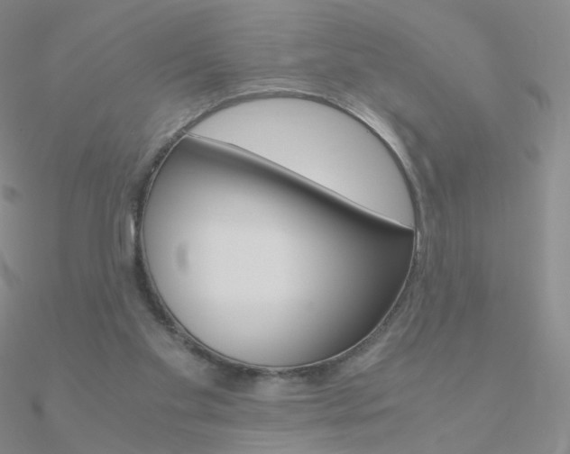 X0000090960109200708021129