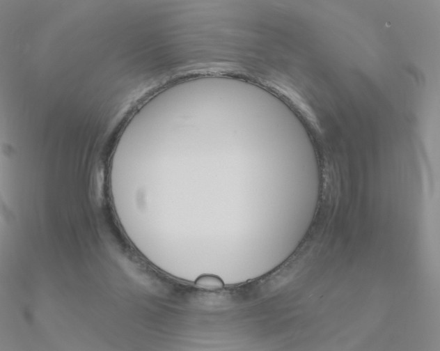 X0000090960110200708021129