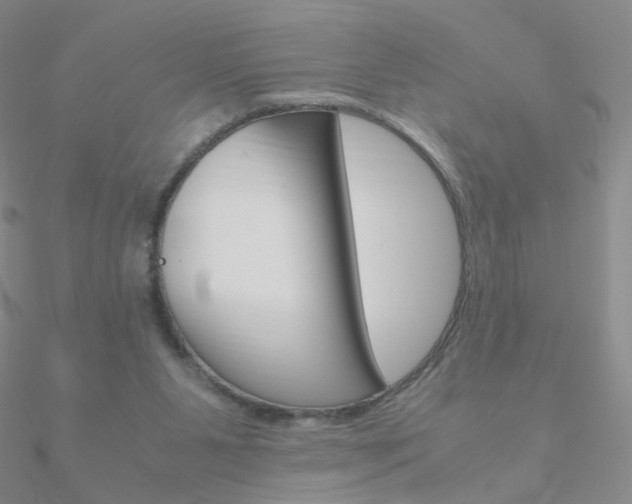 X0000090960111200708021129