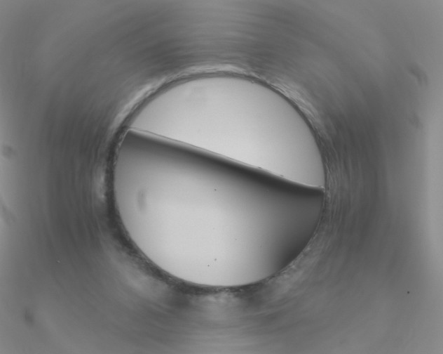 X0000090960112200708021129