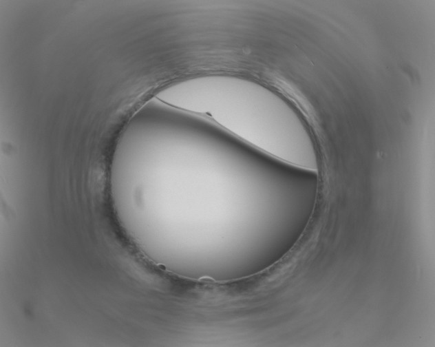 X0000090960113200708021129