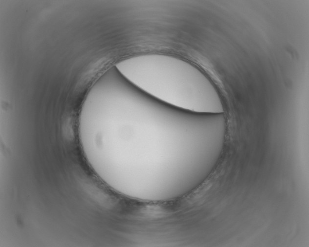 X0000090960114200708021129