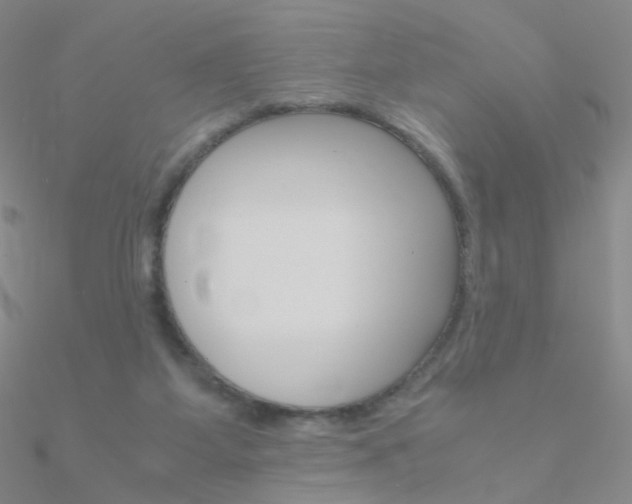 X0000090960115200708021129