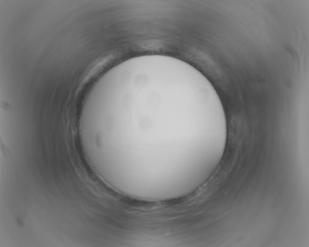 X0000090960116200708021129