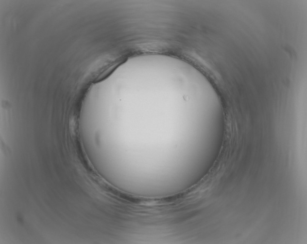 X0000090960117200708021129