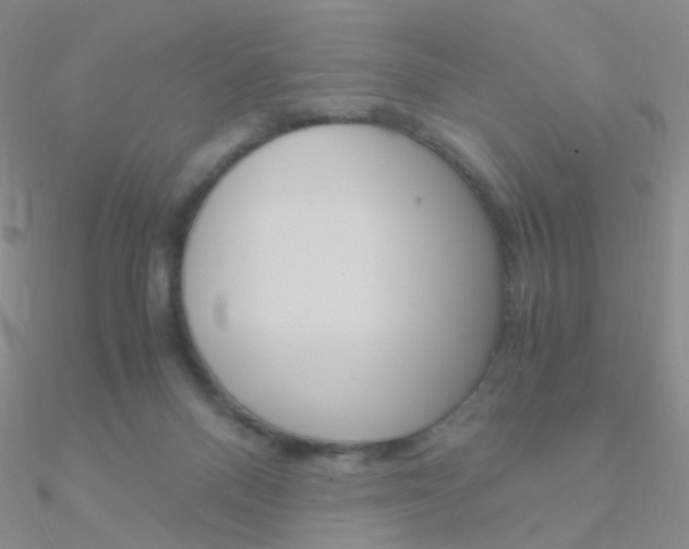 X0000090960120200708021129