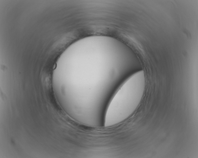 X0000090960123200708021129