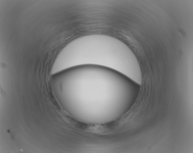 X0000090960125200708021129