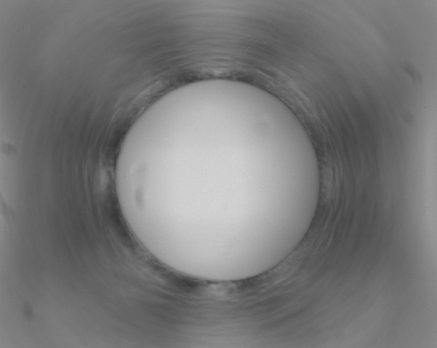 X0000090960126200708021129