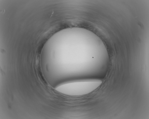 X0000090960129200708021129