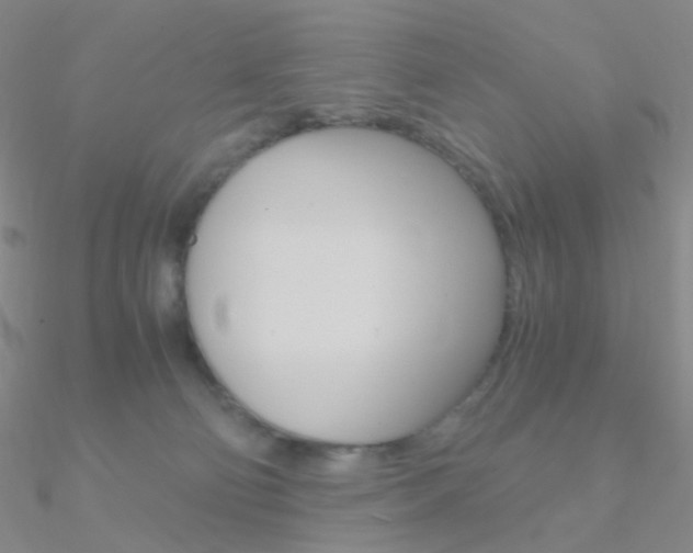 X0000090960130200708021129