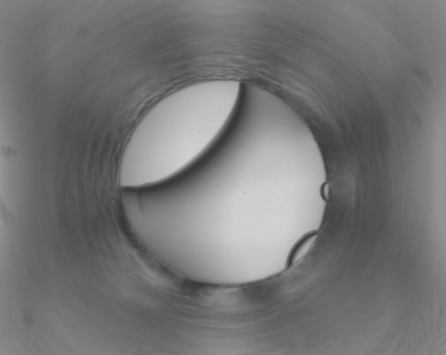 X0000090960132200708021129