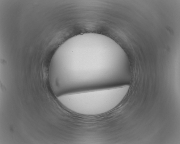 X0000090960135200708021129