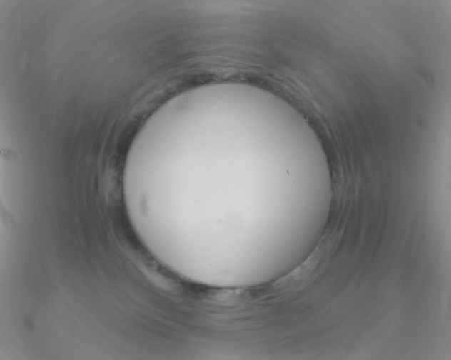 X0000090960136200708021129