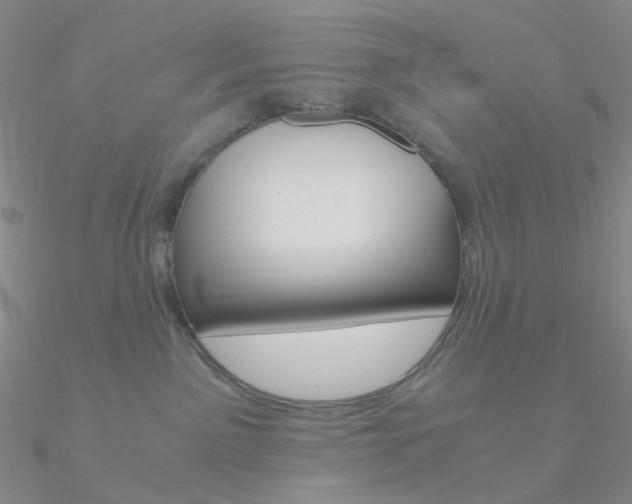 X0000090960141200708021129