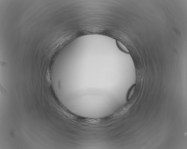 X0000090960143200708021129