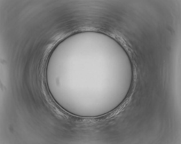 X0000090960145200708021128