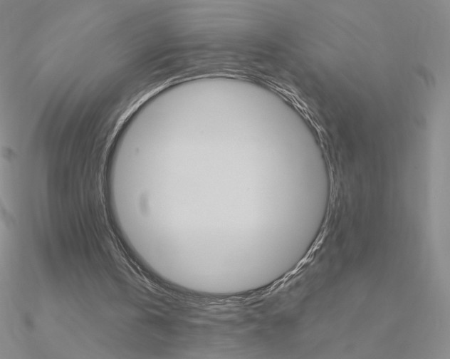 X0000090960146200708021128