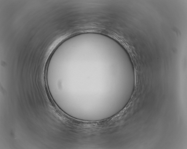X0000090960147200708021128