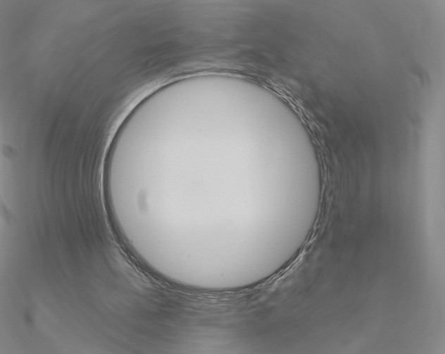X0000090960148200708021128
