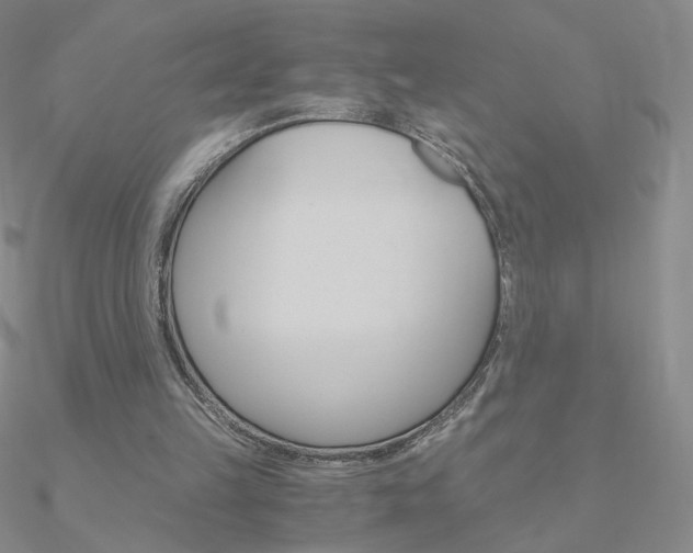 X0000090960149200708021128