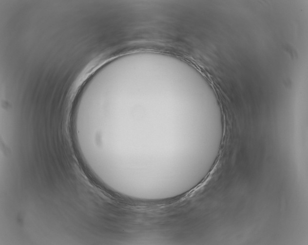 X0000090960150200708021128