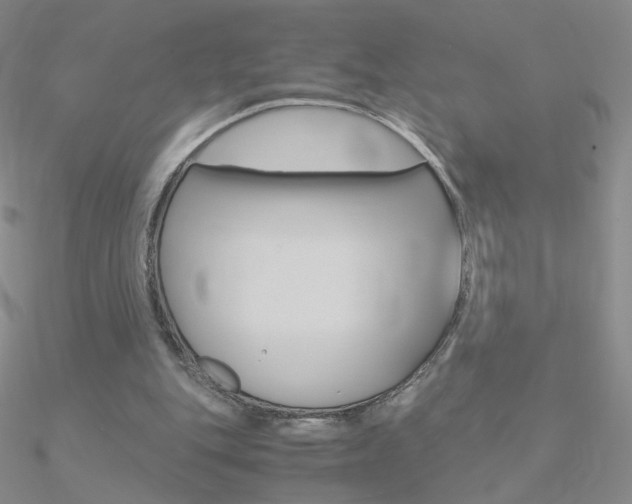 X0000090960151200708021128