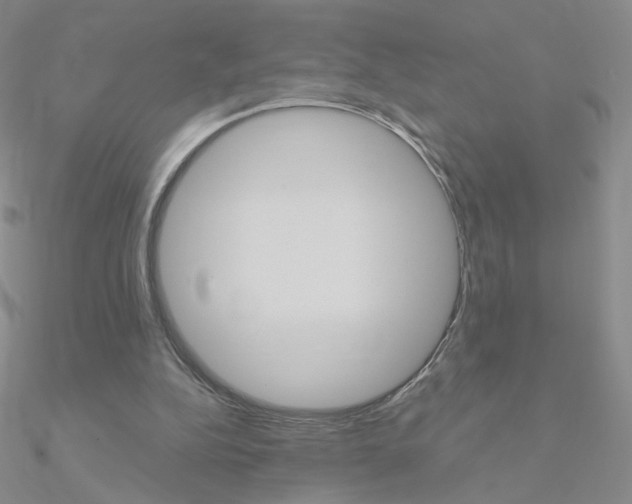 X0000090960152200708021128