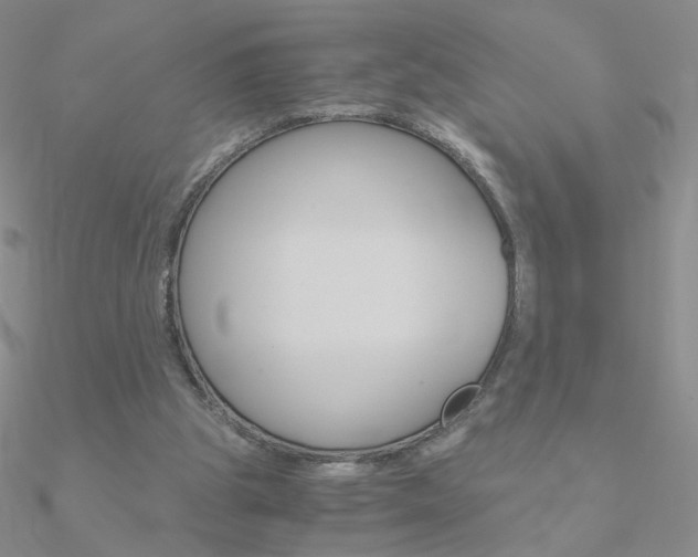 X0000090960153200708021128