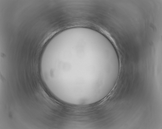X0000090960154200708021129