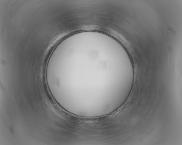 X0000090960155200708021129