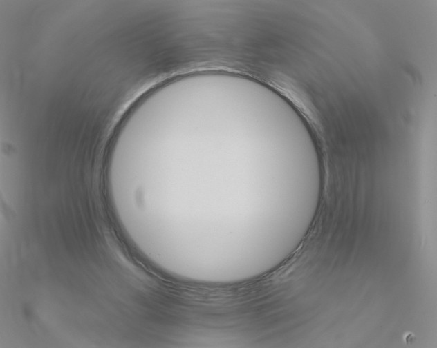 X0000090960156200708021129