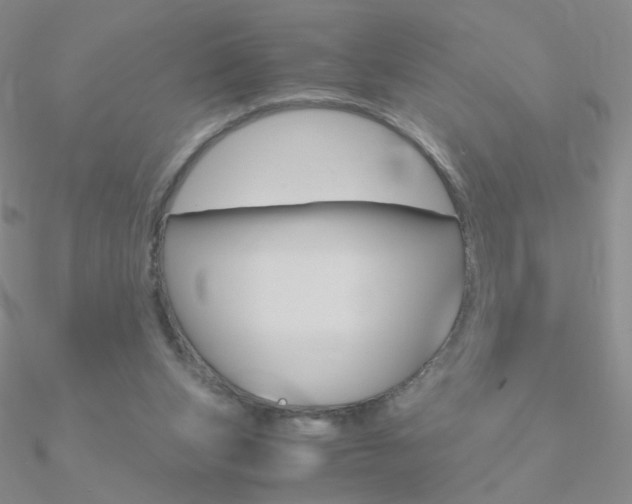 X0000090960159200708021129