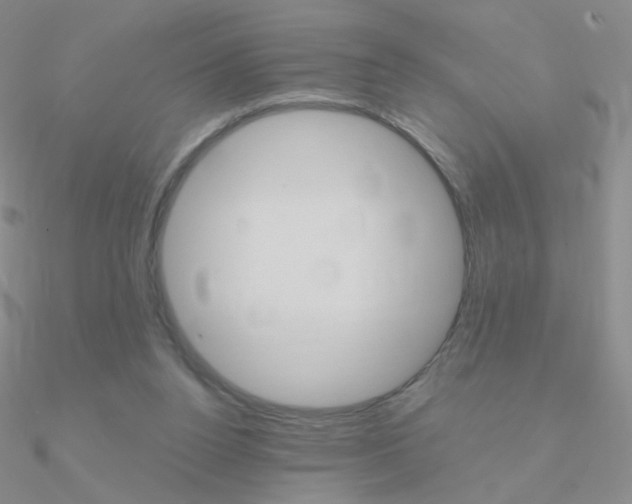 X0000090960160200708021129
