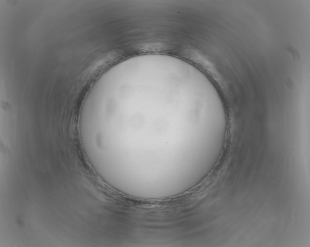 X0000090960161200708021129