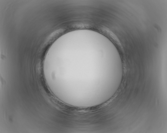 X0000090960163200708021129