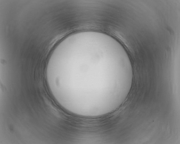 X0000090960164200708021129