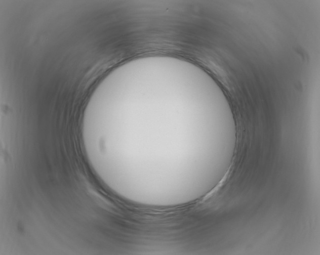 X0000090960166200708021129