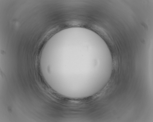 X0000090960167200708021129
