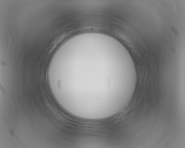 X0000090960168200708021129