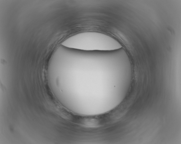 X0000090960169200708021129