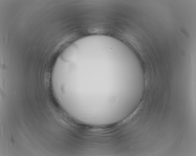 X0000090960171200708021129