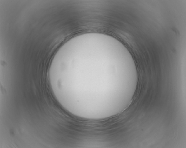 X0000090960172200708021129