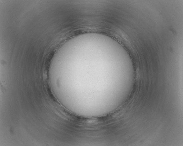 X0000090960173200708021129