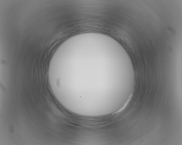 X0000090960174200708021129