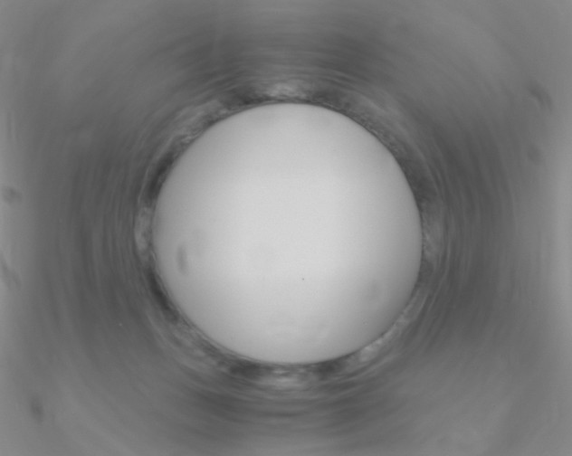 X0000090960175200708021129